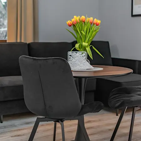 Apartament Coco Premium Radosc