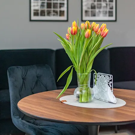 Coco Premium Radosc Apartament *